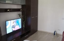 Apartament decomandat 2 camere, Valea Rosie, Renovat si Utilat