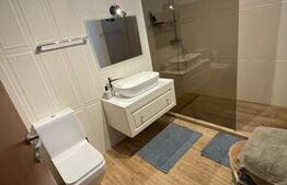 Casa Individuala D+P+E, piscina, 250 mp utili, 500 mp teren, zona Ford