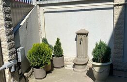 Casa Individuala D+P+E, piscina, 250 mp utili, 500 mp teren, zona Ford