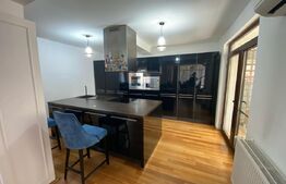 Casa Individuala D+P+E, piscina, 250 mp utili, 500 mp teren, zona Ford