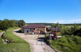 Oportunitate! Sala de evenimente, benzinarie si spalatorie auto, stradala la DE 