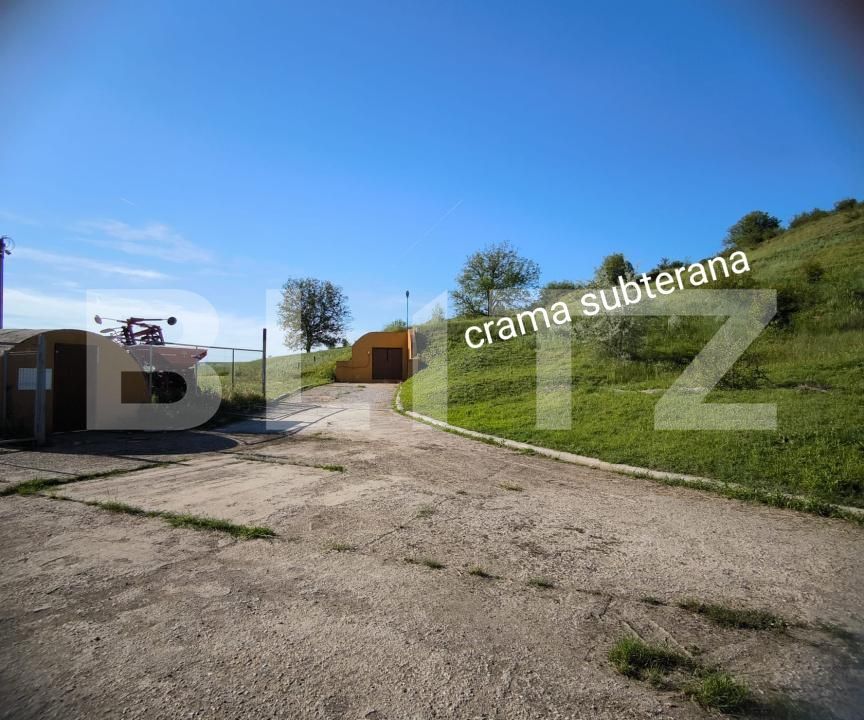 Spațiu comercial de vânzare Exterior Sud - 172516SVC | BLITZ Craiova | Poza9