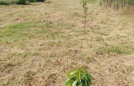 Casa renovata Varvoru de Sus, 30 mpu, 1000 mp curte.