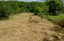 Casa renovata Varvoru de Sus, 30 mpu, 1000 mp curte.