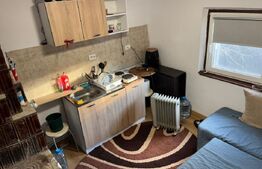 Casa renovata Varvoru de Sus, 30 mpu, 1000 mp curte.