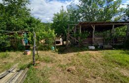 Casa renovata Varvoru de Sus, 30 mpu, 1000 mp curte.