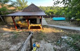 Casa renovata Varvoru de Sus, 30 mpu, 1000 mp curte.