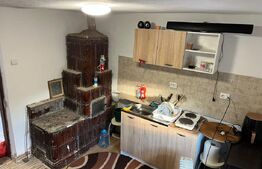 Casa renovata Varvoru de Sus, 30 mpu, 1000 mp curte.