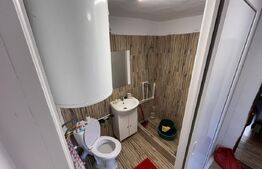 Casa renovata Varvoru de Sus, 30 mpu, 1000 mp curte.