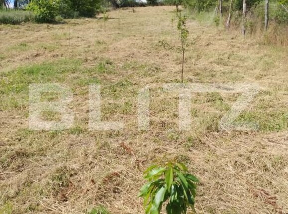 Casa de vânzare 2 camere Exterior Vest - 172551CV | BLITZ Craiova | Poza19