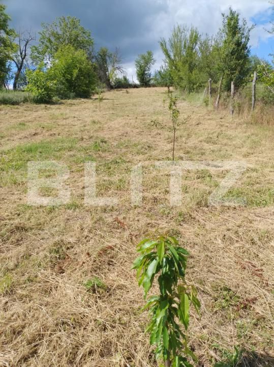 Casa de vânzare 2 camere Exterior Vest - 172551CV | BLITZ Craiova | Poza19