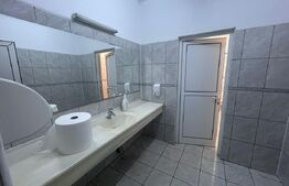 Spatiu de birouri modern, 480mp, 10 locuri de parcare, cartier Brazda lui Novac