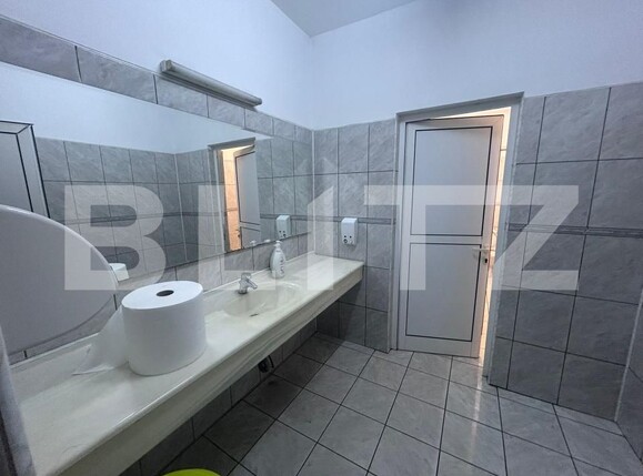 Spațiu birouri de închiriat Brazda lui Novac - 172556SIB | BLITZ Craiova | Poza19