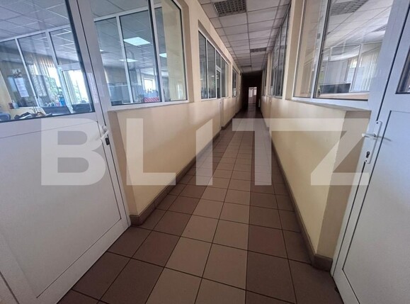 Spațiu birouri de închiriat Brazda lui Novac - 172556SIB | BLITZ Craiova | Poza16