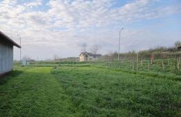 Teren intravilan 500 mp,  toate utilitatiile, zona Plenedava-Carcea