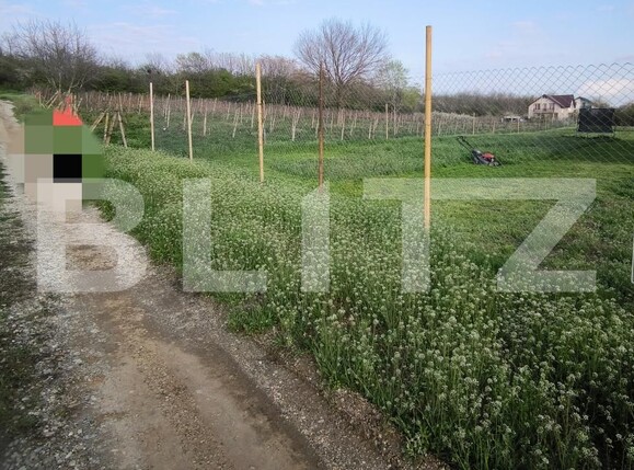 Teren de vânzare Est - 172569TV | BLITZ Craiova | Poza1