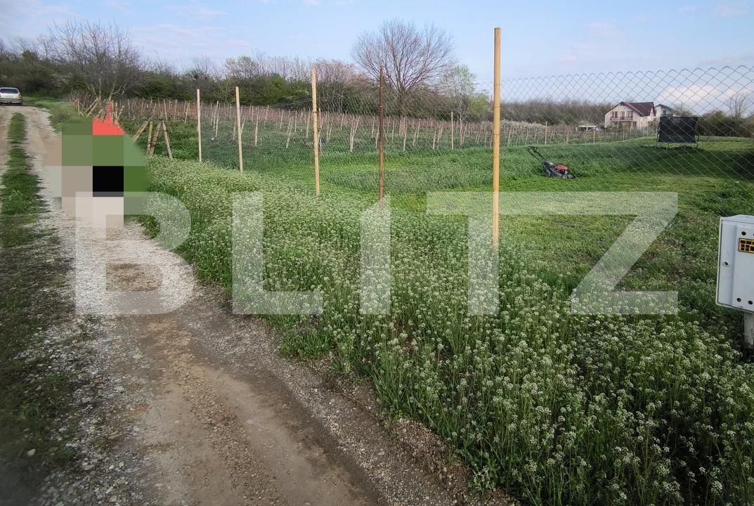 Teren de vânzare Est - 172569TV | BLITZ Craiova | Poza1