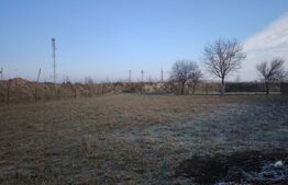 Teren intravilan 550 mp, stradal, zona Podari