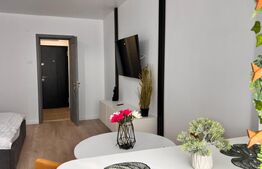 Garsoniera moderna , prima inchiriere, zona Brazda, Baba lui Novac