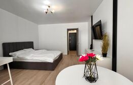 Garsoniera moderna , prima inchiriere, zona Brazda, Baba lui Novac