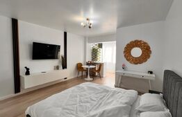 Garsoniera moderna , prima inchiriere, zona Brazda, Baba lui Novac