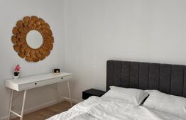 Garsoniera moderna , prima inchiriere, zona Brazda, Baba lui Novac