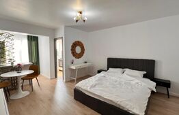 Garsoniera moderna , prima inchiriere, zona Brazda, Baba lui Novac