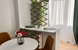 Garsoniera moderna , prima inchiriere, zona Brazda, Baba lui Novac