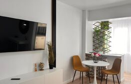 Garsoniera moderna , prima inchiriere, zona Brazda, Baba lui Novac