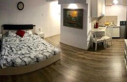 Garsoniera 30 mP, zona Ultracentral-English Park, complet mobilata si utilata