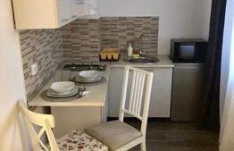 Garsoniera 30 mP, zona Ultracentral-English Park, complet mobilata si utilata