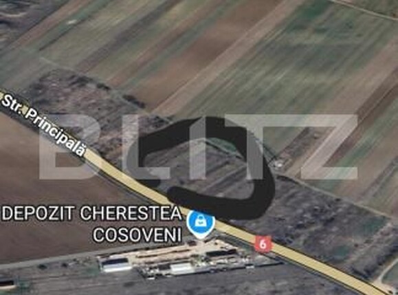Teren de vânzare Cosoveni - 172703TV | BLITZ Craiova | Poza1