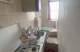 Camera de camin 15 mp, in Valea Rosie, la 19.000 euro cu baie si bucatarie