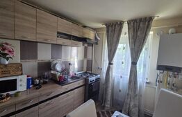 Apartament 2 camere, recent renovat, 50 mp, zona Gara