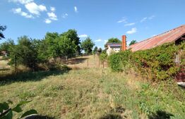 Proprietate de vis, cartier Facai, 2700 mp teren, 100 mp utili