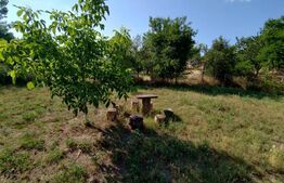 Proprietate de vis, cartier Facai, 2700 mp teren, 100 mp utili