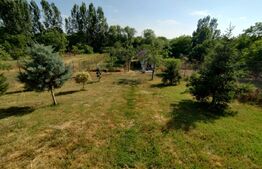 Proprietate de vis, cartier Facai, 2700 mp teren, 100 mp utili