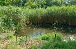 Proprietate de vis, cartier Facai, 2700 mp teren, 100 mp utili