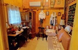 Proprietate de vis, cartier Facai, 2700 mp teren, 100 mp utili