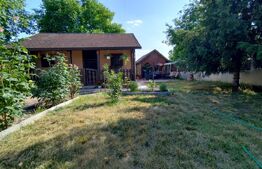 Proprietate de vis, cartier Facai, 2700 mp teren, 100 mp utili