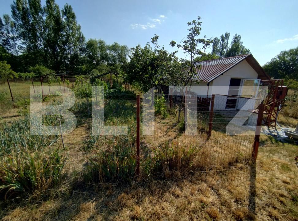 Casa de vânzare 4 camere Sud-Est - 172743CV | BLITZ Craiova | Poza16