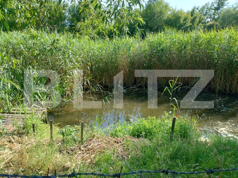 Casa de vânzare 4 camere Sud-Est - 172743CV | BLITZ Craiova | Poza17