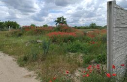 Teren extravilan, cart. Cernele, 400 mp, 22 deschidere