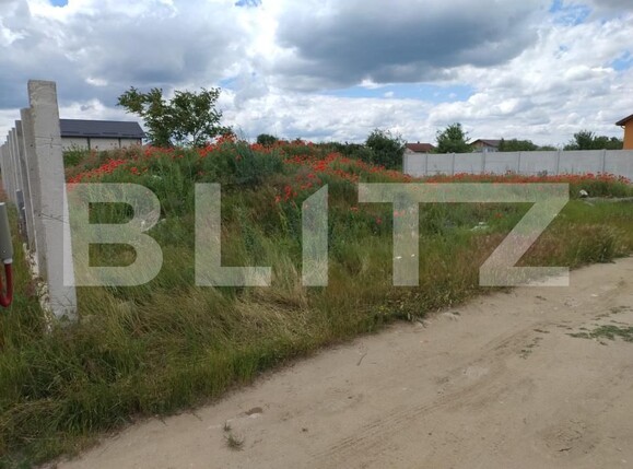 Teren de vânzare Cernele - 172777TV | BLITZ Craiova | Poza1
