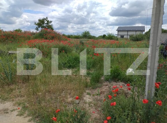 Teren de vânzare Cernele - 172777TV | BLITZ Craiova | Poza4