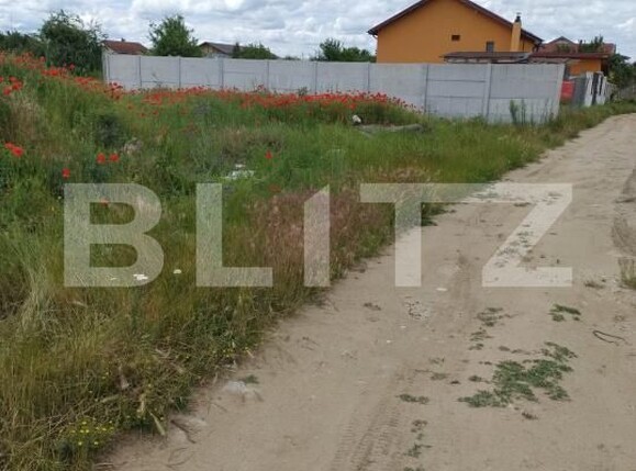 Teren de vânzare Cernele - 172777TV | BLITZ Craiova | Poza2