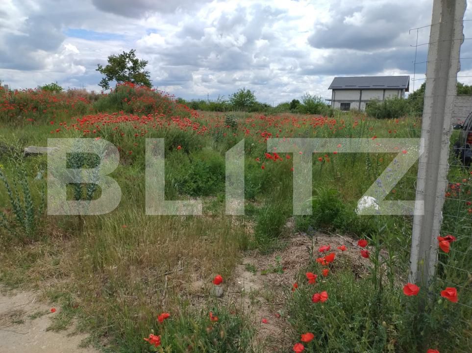 Teren de vânzare Cernele - 172777TV | BLITZ Craiova | Poza4