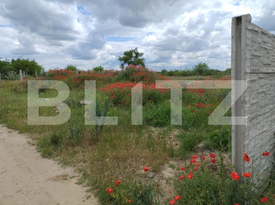 Teren de vânzare Cernele - 172777TV | BLITZ Craiova | Poza3