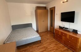 Garsonieră practică, zona  1 Mai,  27 mp, 10 minute de UMF