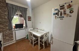 Apartament decomandat, 2 camere, 52mp, Calea Severinului, zona Hanul Craiovita